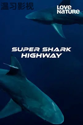 超级鲨鱼高速公路 第一季